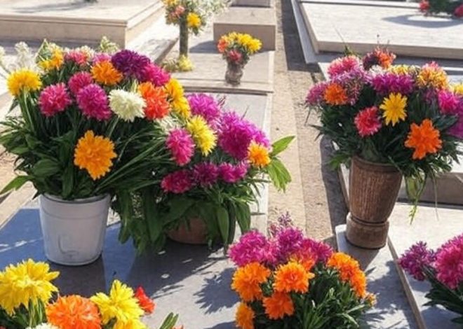 Dia de Finados em Brasília: Homenagens a líderes políticos e pioneiros atraem milhares aos cemitérios