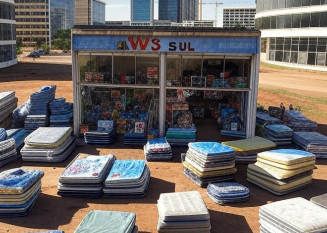 Centenário de pioneiro brasiliense destaca conexões entre comércio e poder na construção da capital