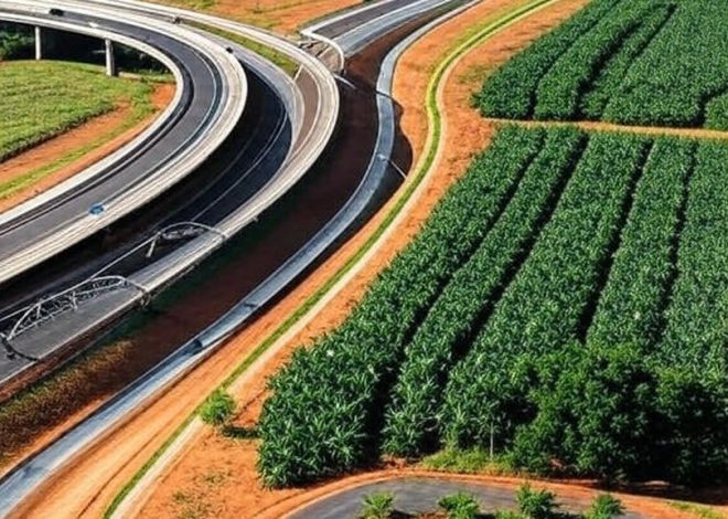 Rondônia acelera o desenvolvimento com liderança de Coronel Chrisóstomo