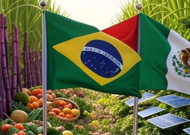 Lula e Sheinbaum acertam parceria para etanol e combate à fome em conversa bilateral