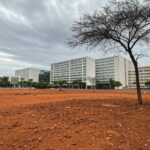 Área urbana em Brasília com árvores plantadas e vegetação negligenciada, destacando impactos ambientais no DF.