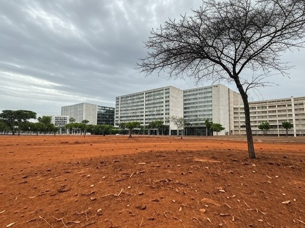 Área urbana em Brasília com árvores plantadas e vegetação negligenciada, destacando impactos ambientais no DF.