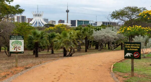 Parque urbano em Brasília com trilhas educativas, representando o programa Parque Educador do Instituto Brasília Ambiental.