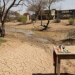 Nascente seca no DF contrastando com banner do Dia da Água, destacando perda ambiental.