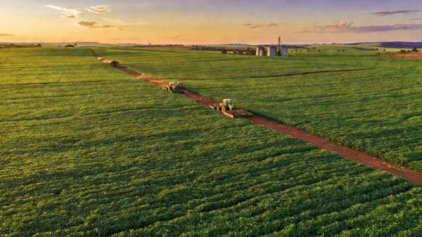Paisagem de lavouras de soja no Cerrado representando crédito rural no DF