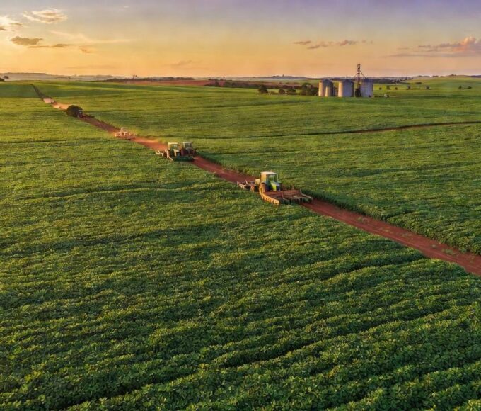 Paisagem de lavouras de soja no Cerrado representando crédito rural no DF