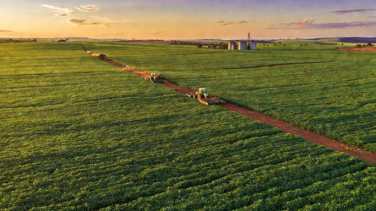 Paisagem de lavouras de soja no Cerrado representando crédito rural no DF