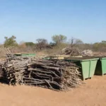 Descarte correto de poda e galhadas no Distrito Federal na seca