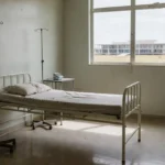 Cerimônia incluiu homenagens a doulas (David Calaça/Agência CLDF)​​​​​