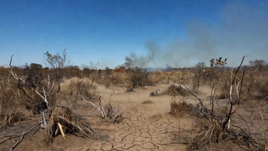Paisagem do Cerrado seco no Distrito Federal com fumaça de incêndios durante seca prolongada