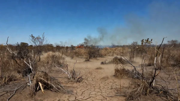 Paisagem do Cerrado seco no Distrito Federal com fumaça de incêndios durante seca prolongada