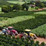 Maquinário agrícola em lavoura de agricultura familiar no Brasil